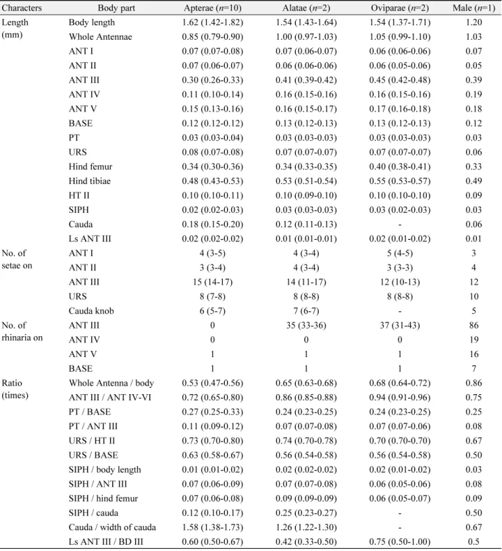 Table 1.  Biometric data of Neophyllaphis podocarpi  in Korea