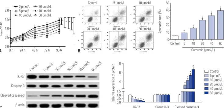 Fig. 1. Curcumin inhibited proliferation and promoted apoptosis of SU-DHL-8 cells. SU-DHL-8 cells were treated with different concentrations (0, 5, 10,  20, 40, and 60 μmol/L) of curcumin