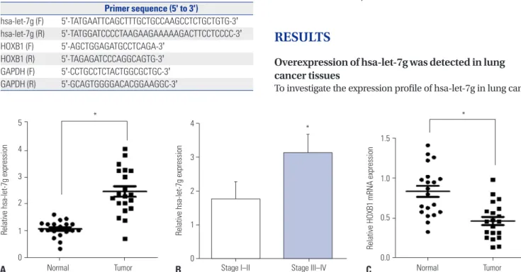 Fig. 1. hsa-let-7g levels in lung cancer. (A) The expression of hsa-let-7g in 20 paired normal-lung tumor samples