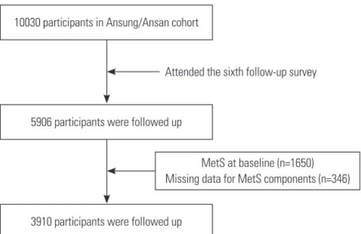 Fig. 1. Study population. MetS, metabolic syndrome.