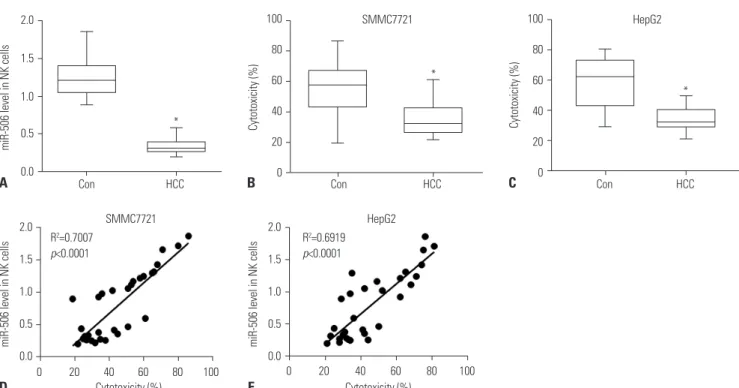Fig. 1. miR-506 expression was positively correlated with NK cell cytotoxicity against SMMC7721 cells
