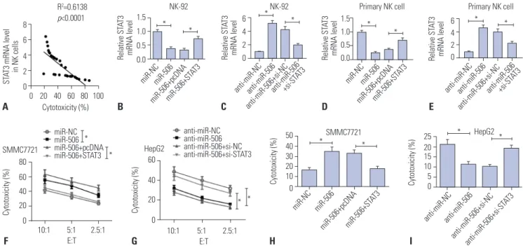 Fig. 4. miR-506 overexpression enhanced NK cell cytotoxicity against HCC cells by targeting STAT3