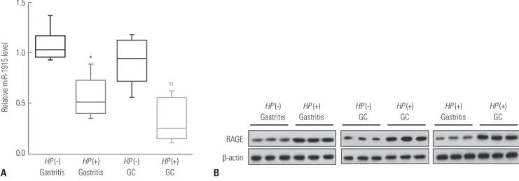 Fig. 1. Under-expressed miR-1915 and over-expressed RAGE in HP (+) GC tissues. (A) Relative miR-1915 level in gastritis or GC tissues with or without HP  infection by qRT-PCR