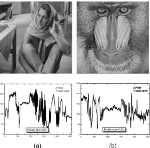 그림 1.  원 영상 (a) Barbara 영상 (b) Baboon 영상  Fig. 1 The original  images (a) Barbara image (b) Baboon  image    나타내었으며,  그리고  Barbara(310,250)화소, Baboon  (310,360)화소를 중심으로 상하좌우 각각 50화소 영역 을 확대한 영상을 나타내었다