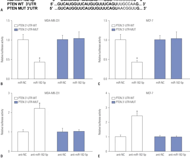 Fig. 3. PTEN a target of miR-182-5p. (A) Putative binding sites of miR-182-5p and PTEN was predicted by miRTarBase and miRanda