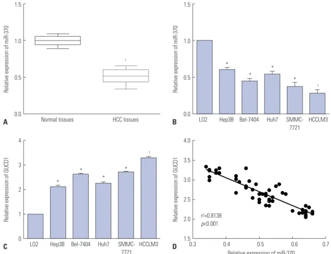 Fig. 1. miR-370 was downregulated, and GUCD1 was upregulated in HCC. (A and B) miR-370 expression in HCC tissues and cells was measured using  qRT-PCR