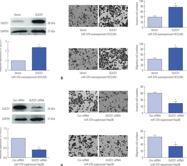 Fig. 6. Alteration of GUCD1 expression partially reversed the miR-370-mediated effect on HCC cell migration and invasion