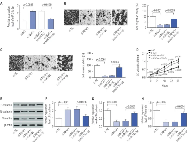 Fig. 3. si-NEAT1 inhibited NPC cell proliferation, migration, invasion, and EMT by miR-34a-5p