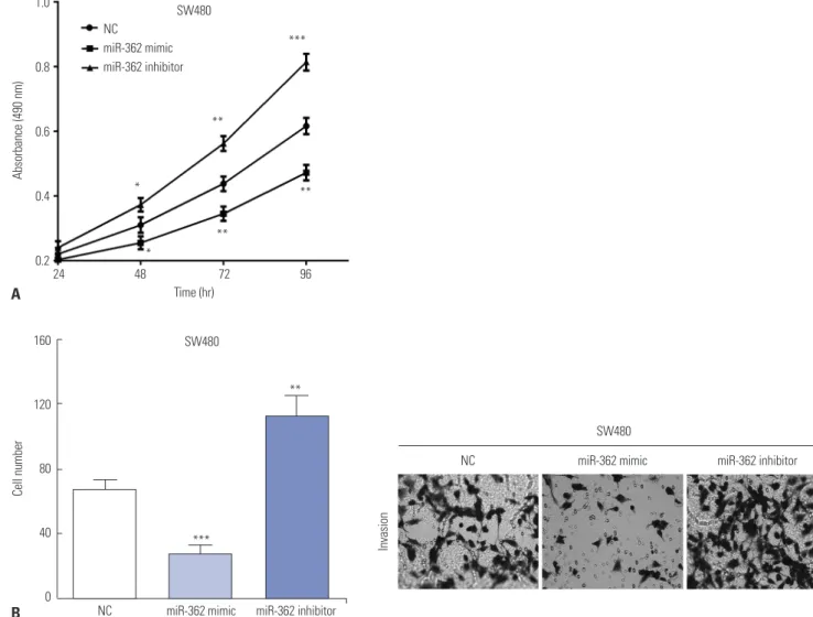 Fig. 2. miR-362 suppressed cell proliferation and invasion. (A) The cell viability was regulated by exogenous changing miR-362 in SW480 cells