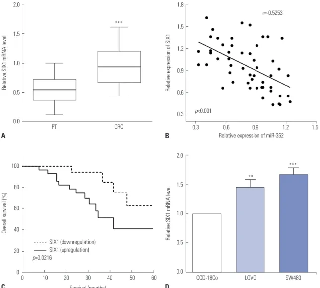 Fig. 3. SIX1 was upregulated in CRC, and overexpression of SIX1 predicted poor prognosis