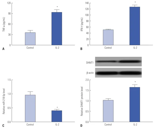 Fig. 2. IL-2 induced activation of NK cells and dysregulation of miR-218-5p and SHMT1 expression