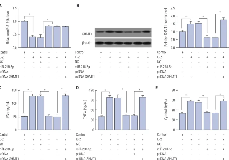 Fig. 5. Introduction of SHMT1 reversed miR-218-5p-mediated inhibitory role in the killing effect of NK-92 to LA cells