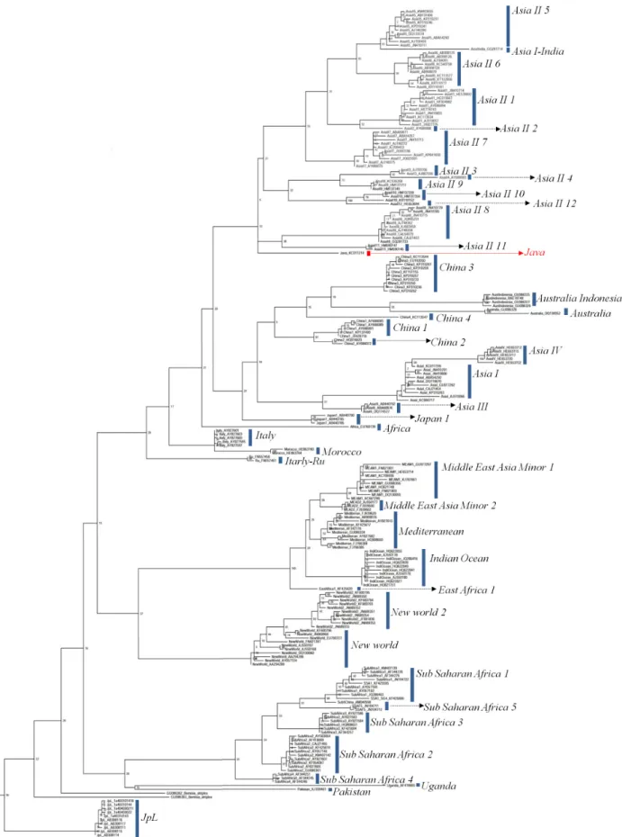 Fig. 1.  Phylogenetic tree based on 217  COI  gene sequences of Bemisia tabaci  estimated using maximum likelihood analysis.