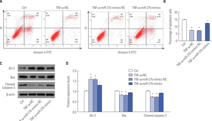 Fig. 4. IL-1β is a target gene of miR-27b. (A) The binding sites between  miR-27b and IL-1β predicted by TargetScan
