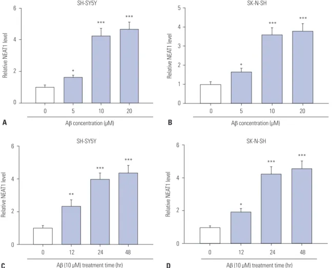 Fig. 1. Expression of NEAT1 is elevated in Aβ-treated SH-SY5Y and SK-N-SH cells. (A and B) The expression of NEAT1 was measured in SH-SY5Y and  SK-N-SH cells after treatment of different concentrations (0, 5, 10, and 20 μM) of Aβ for 24 h by qRT-PCR