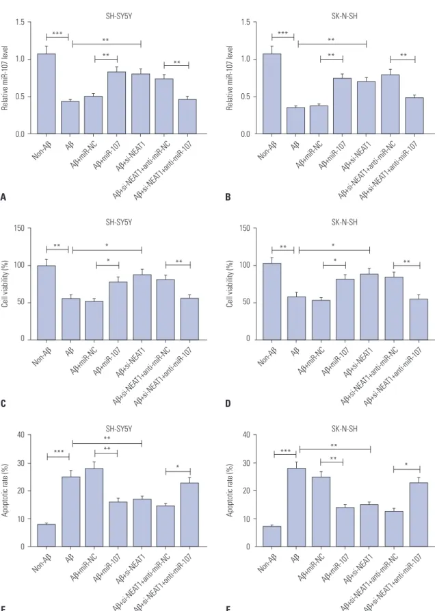 Fig. 6. Abrogation of miR-107 reverses the regulatory effect of NEAT1 knockdown on Aβ-induced neuronal damage in SH-SY5Y and SK-N-SH cells