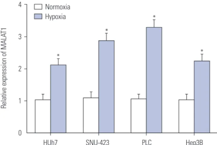 Fig. 1. MALAT1 was upregulated in hepatocellular carcinoma cells by  hypoxia. qRT-PCR assay was performed to measure the expression of  MALAT1 in Huh7, SNU-423, PLC, and Hep3B cells cultured under  nor-moxic or hypoxic condition