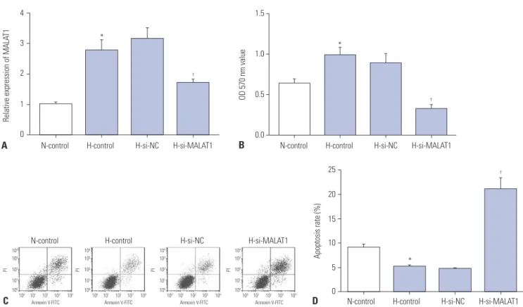 Fig. 2. Knockdown of MALAT1 suppressed growth and induced apoptosis of Hep3B cells after hypoxia challenge
