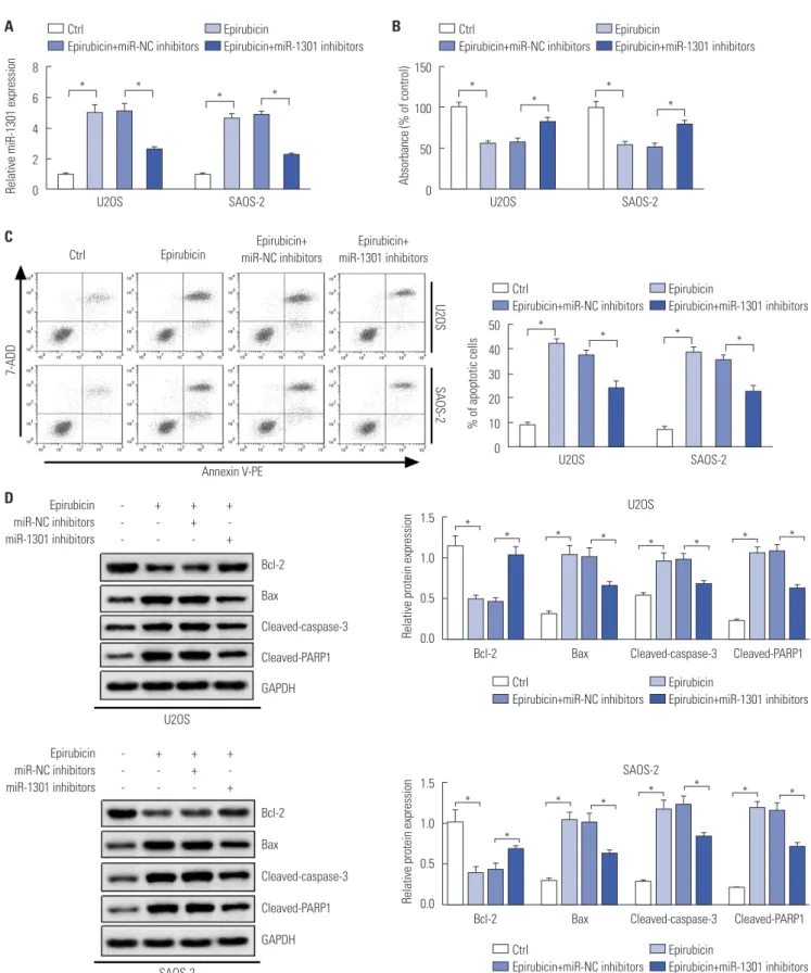 Fig. 4. MicroRNA-1301 (MiR-1301) depletion weakens the anti-cancer effect of epirubicin in osteosarcoma