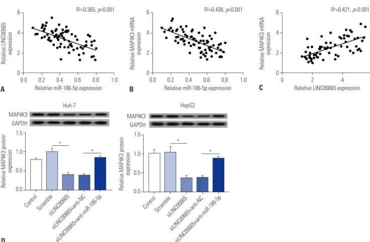 Fig. 7. LINC00665 regulates the expression of MAP4K3 by interacting with miR-186-5p. (A) The correlation between LINC00665 and miR-186-5p levels  was analyzed in HCC tissues