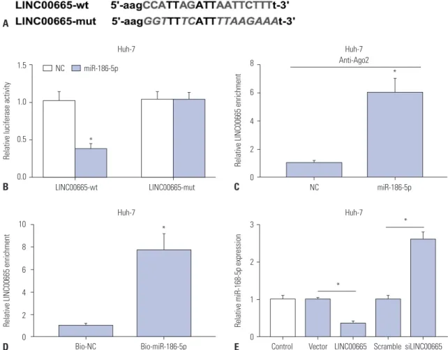 Fig. 3. LINC00665 interacts with miR-186-5p. (A) The binding sites between miR-186-5p and LINC00665 were predicted by starBase v2.0, and the lucif- lucif-erase reporter plasmids containing the wild-type (wt) or mutated (mut) LINC00665 binding sites of miR-
