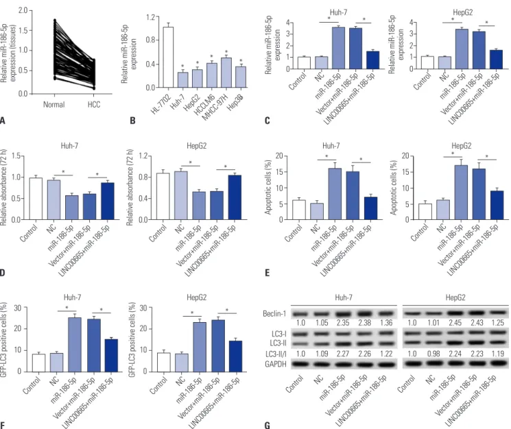 Fig. 4. LINC00665 attenuates the tumor-suppressive effect of miR-186-5p in HCC cells in vitro