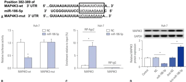 Fig. 5. MAP4K3 a target gene of miR-186-5p. (A) The binding sites between miR-186-5p and MAP4K3 were predicted by TargetScan, and the luciferase  reporter plasmids containing the wild-type (wt) or mutated (mut) MAP4K3 binding sites of miR-186-5p were estab