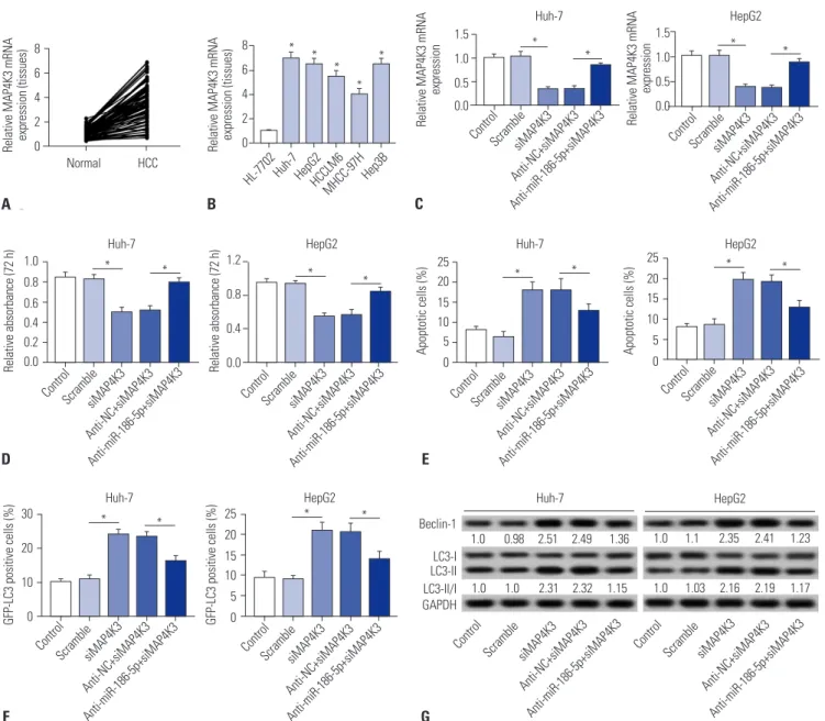 Fig. 6. Downregulation of miR-186-5p attenuates the tumor-suppressive effect of MAP4K3 knockout in HCC cells in vitro