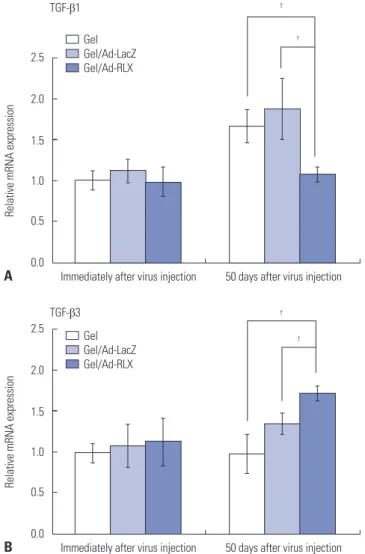 Fig. 5. Relaxin-expressing Ad decreases transforming growth factor-β1  (TGF-β1) and increases TGF-β3 mRNA levels in pig scar tissues