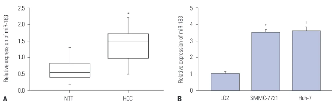 Fig. 3. miR-183 is upregulated in hepatocellular carcinoma (HCC) tissues and cells. (A) Real-time quantitative PCR (RT-qPCR) was performed to ana- ana-lyze miR-183 expression in 30 pairs of HCC tumor and neighboring non-tumor tissues (NTTs)