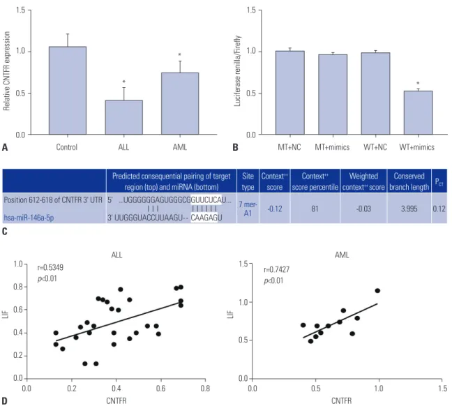 Fig. 2. Ciliary neurotrophic factor receptor (CNTFR) is a target of miR-146a. (A) The expression of CNTFR was detected by quantitative real-time poly- poly-merase chain reaction (qRT-PCR) in acute lymphoblastic leukemia (ALL) and acute myeloid leukemia (AM