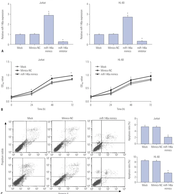 Fig. 3. miR-146a promotes the proliferation and suppresses the apoptosis of Jurkat and HL-60 cells