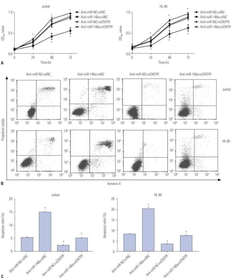 Fig. 4. miR-146a promotes the proliferation and suppresses the apoptosis of Jurkat and HL-60 cells by downregulating ciliary neurotrophic factor re- re-ceptor (CNTFR)