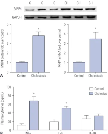 Fig. 1. Expression of MRP4 and plasma levels of TNFα were increased  in liver samples of patients with obstructive cholestasis