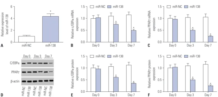 Fig. 2. Overexpression of miR-138 inhibits adipogenic differentiation of human adipose tissue-derived mesenchymal stem cells (hAMSCs)