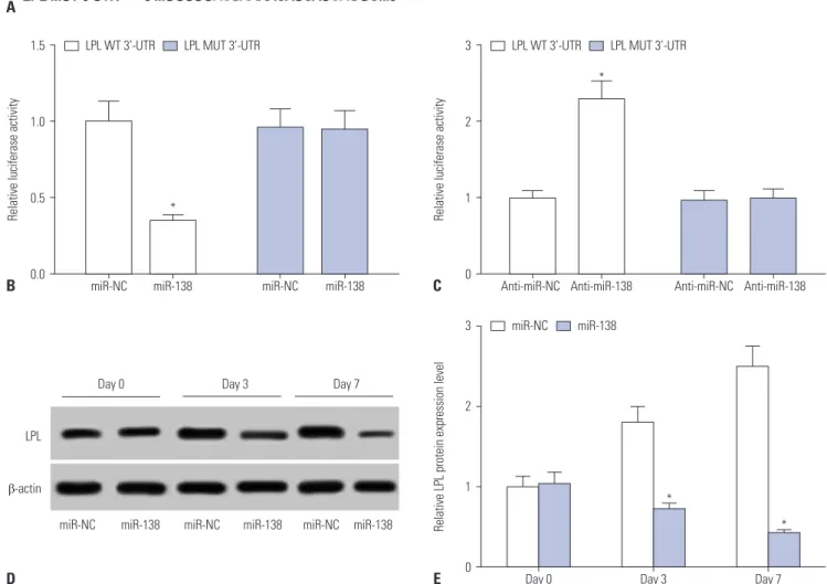 Fig. 3. miRNA-138 (miR-138) targets lipoprotein lipase (LPL) and negatively regulates LPL expression in human adipose tissue-derived mesenchymal stem  cells (hAMSCs)