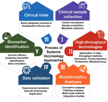 Fig. 1. The process of systems vaccinology approaches. Systems biolo- biolo-gy approaches applied to clinical trials can lead to the generation of  new hypotheses that can be tested and ultimately lead to better  vac-cine development