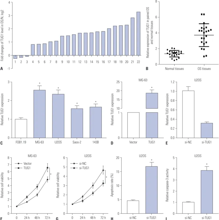 Fig. 1. TUG1 expression is up-regulated in OS tissues and cells, and TUG1 depletion hampers proliferation and induces apoptosis of OS cells
