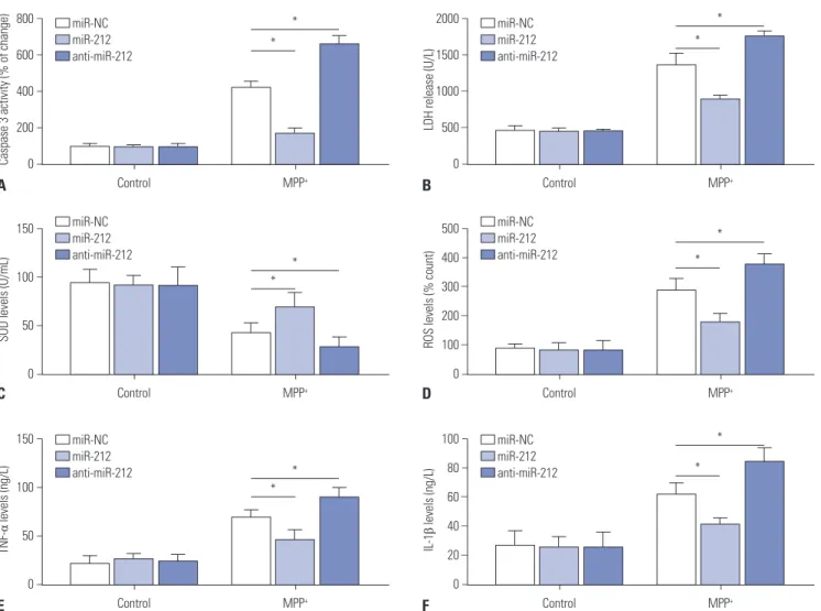 Fig. 2. MiR-212 ameliorates MPP + -induced damage of SH-SY5Y cells. SH-SY5Y cells transfected with miR-212 mimics or anti-miR-212 were treated  with or without 2 mM MPP +  for 24 h, followed by ELISA assays of caspase-3 activity (A), LDH release (B), SOD l