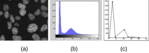 Fig. 2 A cell image and its approximated histogram: (a) A  cell image (b) Its histogram (c)Its approximated histogram
