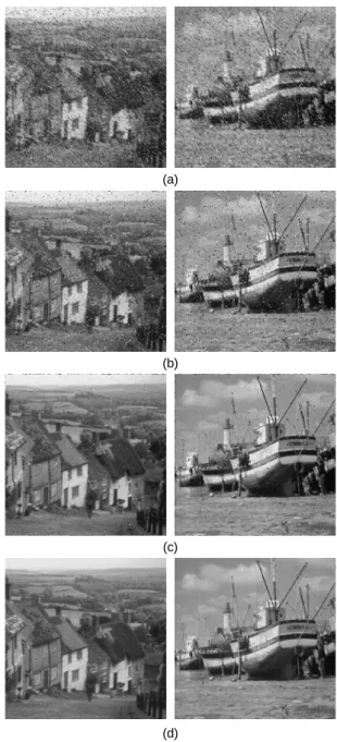 Fig. 3 Test image noise density (40%) (a) Goldhill image  (b) Boat image
