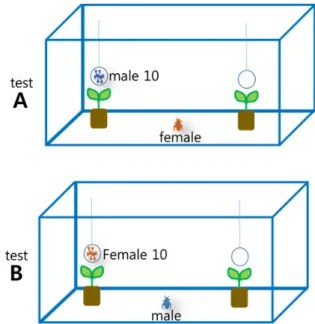 Fig. 3.  Diagrams of behavioral choice experiments in insect net  cages.모델을 구하기 위한 식은 r(Tc) = aTc + b로 여기서 r(Tc)는 발육률을, a는 회귀계수를, Tc는 온도를, b는 상수를 나타낸다
