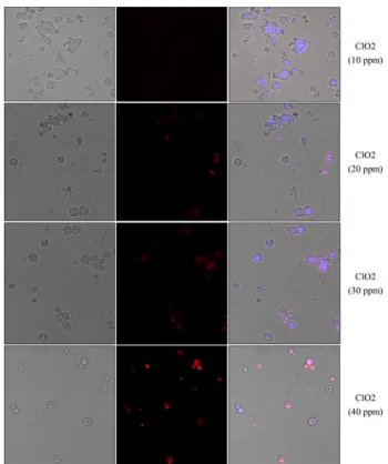 Fig. 1.  Cytotoxicity of chlorine dioxide against  P. interpunctella larvae by hemocoelic injection
