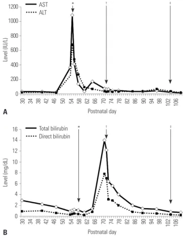 Fig. 2. Abdominal ultrasound imaging before and after PTBD. (A) On the day before PTBD, a 2.0 cm sized common bile duct (CBD) sludge and multiple  bile sludges at not-tensile gall bladder, as well as extrahepatic/intrahepatic bile duct dilatation, were obs