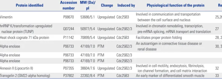 Fig. 5. In vitro Cdk1 dephosphorylation assay using Cdc25B overexpression cell lines. To develop a simple screening tool for Cdc25B inhibitors under con- con-ditions similar to an intracellular environment at the in vitro level, we used cell-free extracts 
