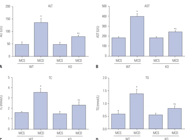Fig. 1. S100A4 KO improves liver function and blood lipid-related parameters in MCD diet-induced non-alcoholic fatty liver disease mice