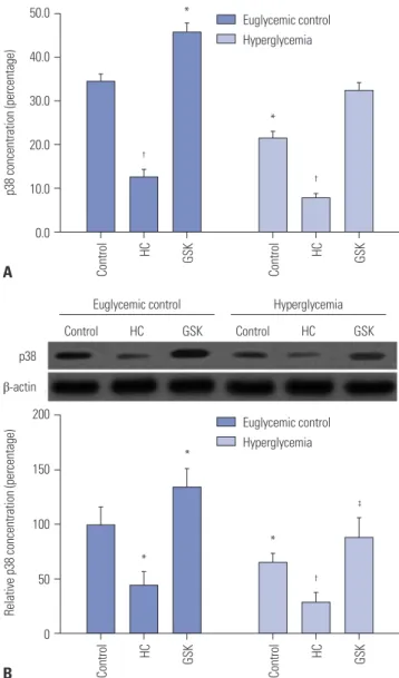 Fig. 4. Overexpression of TRPV4 triggered activation of the MAPK signal- signal-ing pathway