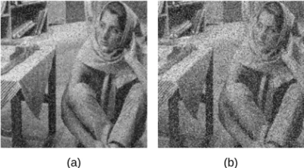 그림 3.  시험 영상 (a) Barbara(p=15%) (b) Barbara(p=30%) Fig. 3 Test image (a) Barbara(p=15%) (b) Barbara(p=30%)
