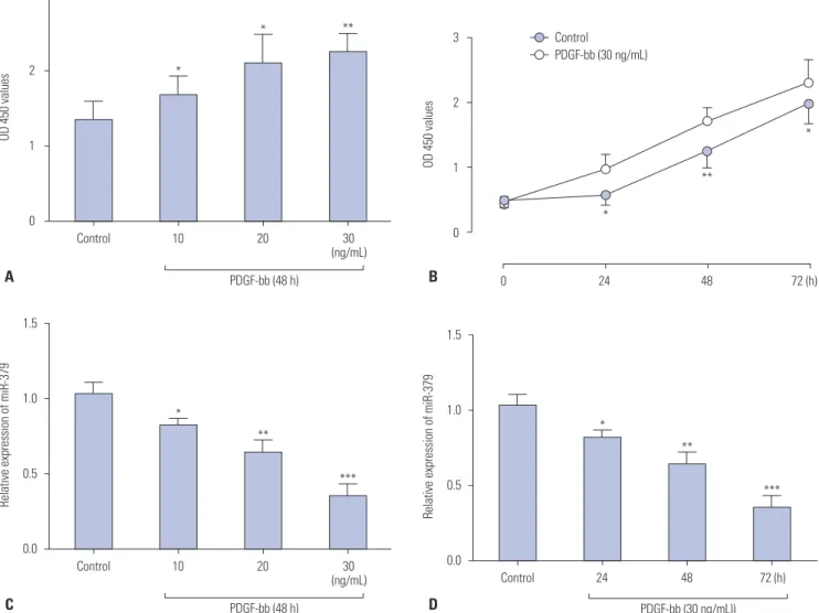 Fig. 1. The effect of PDGF-bb on cell proliferation and miR-379 expression in VSMCs. (A) PDGF-bb promotes cell proliferation of VSMCs in a concen- concen-tration-dependent (10–30 ng/mL) manner as measured by CCK-8 assay