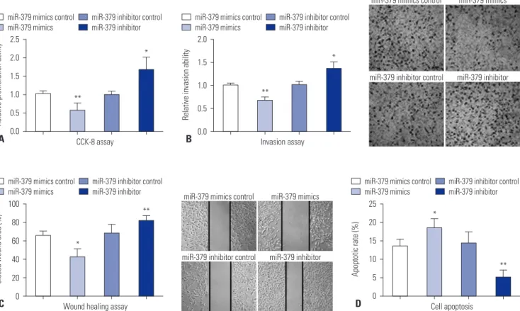 Fig. 2. The effect of miR-379 on cell proliferation, invasion, migration, and apoptosis of VSMCs